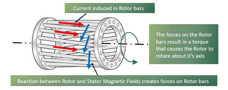 Motor working squirrel cage principle induction Three phase