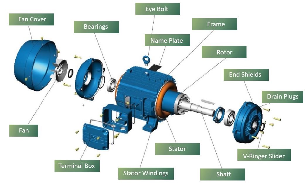 The components of a general purpose AC induction motor