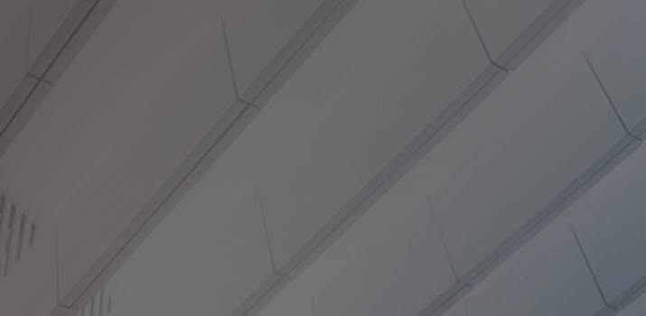 FlaktGroup strategy thumbnail